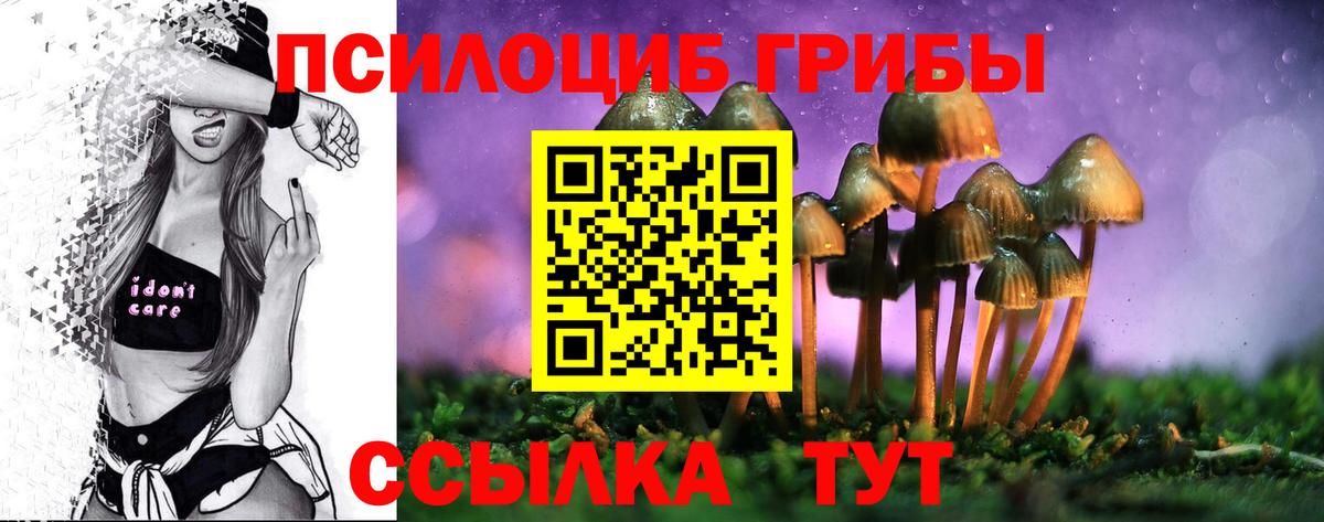 Галлюциногенные грибы Psilocybine cubensis Рубцовск